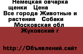 Немецкая овчарка щенки › Цена ­ 20 000 - Все города Животные и растения » Собаки   . Московская обл.,Жуковский г.